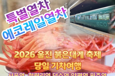 마감- [특별열차-에코레일 열차] 2026 울진 붉은대게 축제! 핵심만 쏙쏙 기차여행  [당일 여행] [ 2월 28일(토)] [서울역,청량리역,덕소영,양평역,원주역]