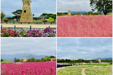 [KTX-1박2일 ] 진해벚꽃  군항제 / 밀양 표충사 /경주 벚꽃 (1박2일) -밀양호텔아리나 [ 3월27일~4월11일]  서울역,영등포역,수원역,대전역