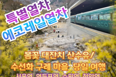 [특별열차-에코레일 열차]  봄꽃 대잔치 산수유/ 수선화 구례 마을 기차여행 (당일)  [3월 21일(토) ] [서울역,영등포역,수원역,천안역,서대전역]