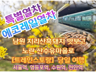 [트레인스토랑] [특별열차-에코레일 열차]  남원 지리산흑돼지 맛보고 노란 산수유마을로 (당일)  [3월 21일(토) ] [서울역,영등포역,수원역,천안역,서대전역]