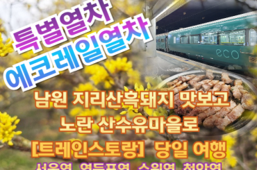 마감 - [트레인스토랑] [특별열차-에코레일 열차]  남원 지리산흑돼지 맛보고 노란 산수유마을로 (당일)  [3월 21일(토) ] [서울역,영등포역,수원역,천안역,서대전역]