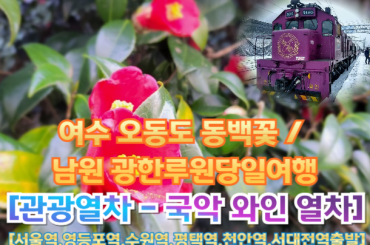 [국악와인열차-당일] 여수 오동도 동백꽃 / 남원 광한루원 (당일)  3월 15,17일 [서울역, 영등포역, 수원역, 평택역, 천안역, 서대전역]