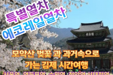[특별열차-에코레일 열차] 모악산 벚꽃과 과거속으로 가는 김제 시간여행  (당일)  [4월 12일(일) ] [서울역,영등포역,수원역,조치원역,서대전역]