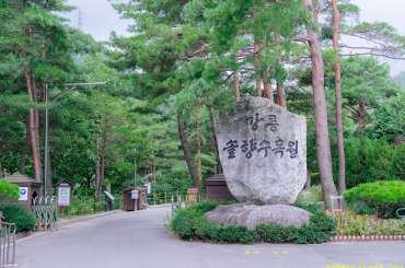 [ KTX - 당일]  강원도 구석구석 [ 정동진 / 오죽헌 / 솔향수목원 여행(당일)