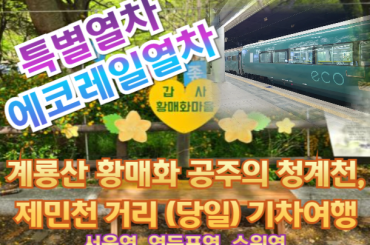 [특별열차-에코레일 열차] 계룡산 황매화 공주의 청계천, 제민천 거리  (당일)  [5월9일(토) 23일(토) ] [서울역,영등포역,수원역]